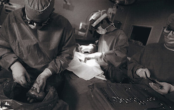 Organ transplant surgery