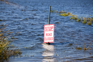 Be as prepared as possible for storms, extreme heat and floods.