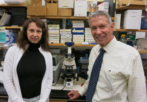 they found a gene involved in heart attack and stroke prevention