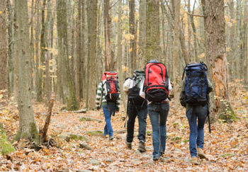 group hiking on forest trails