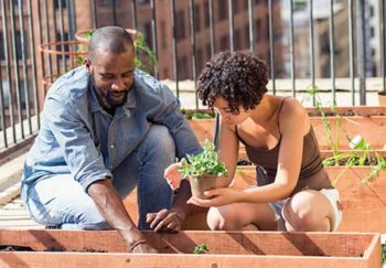 a couple accessing fresh food in an urban garden addresses one of the main health disparities in charlottesville, va