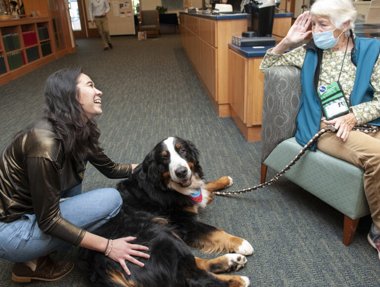 Therapy dog Sully