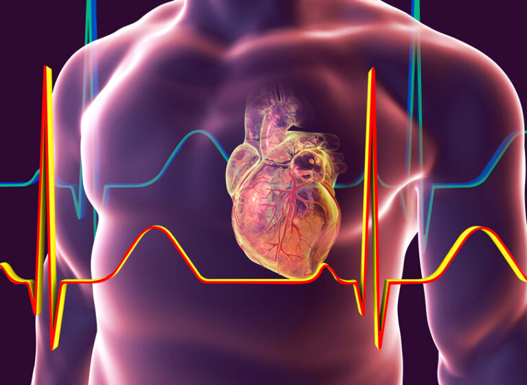 Heart disease research at UVA Health reveals the roots of many conditions.