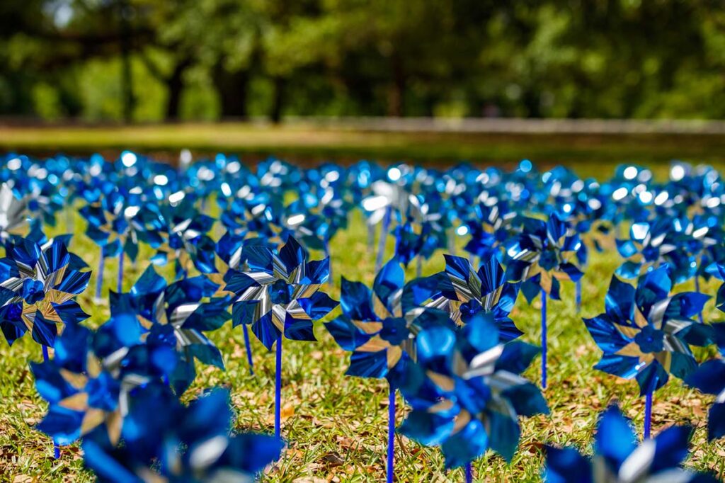 blue pinwheels are displayed in a park for Child Abuse Prevention Month