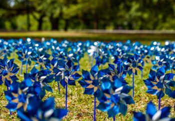 blue pinwheels are displayed in a park for Child Abuse Prevention Month